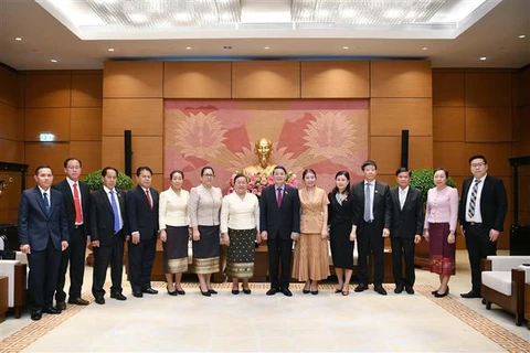 越南国会副主席阮德海会见老挝万象市人民议会代表团