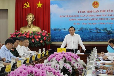 越南政府副总理陈流光：现在正是解除 IUU“黄牌”警告的最好时机