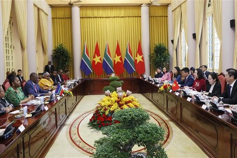 越南国家副主席武氏映春与南非副总统保罗·马沙蒂莱举行会谈