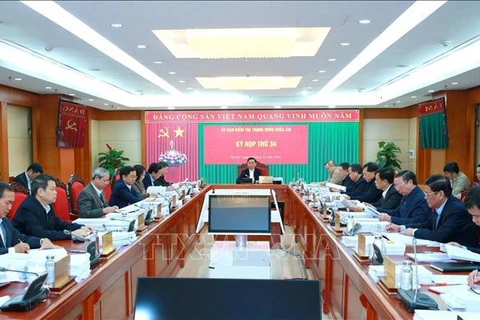 越共中央检查委员会对可再生能源项目有关违规党组织和党员进行审查和处分