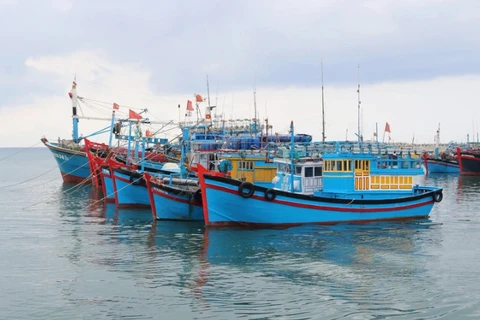 解除IUU“黄牌”：越南槟椥省渔民守法意识日益提升
