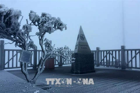 老街省番西邦峰出现霜冻现象