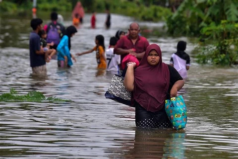 泰国南部洪水造成至少6人死亡