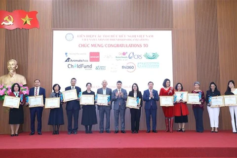 35个为越南做出积极贡献的境外非政府组织获表彰