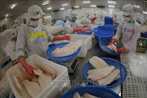 2024年越南查鱼出口有望恢复增长