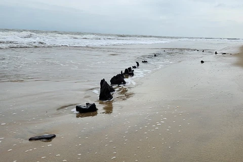 紧急发掘一艘在会安海域沉没的古代海船