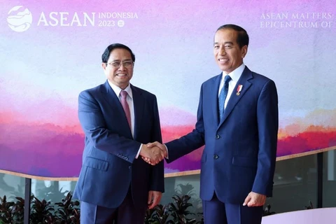 推动越南与印尼战略伙伴关系不断走向纵深