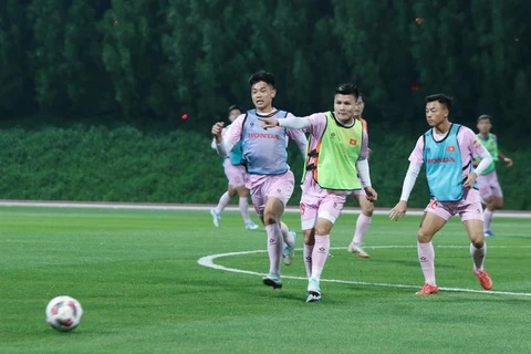 2023年亚足联亚洲杯决赛阶段：越南26名参赛球员名单揭晓