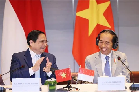 越南政府总理范明政与印尼总统佐科·维多多主持两国企业高级对话会