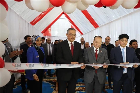 越南企业在埃及的首家生产厂正式落成