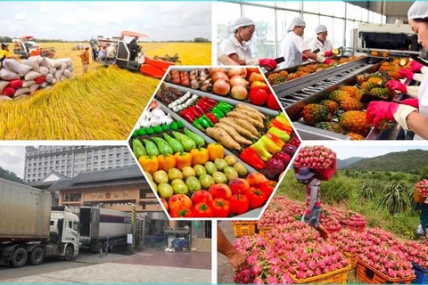 越南积极通过跨境物流推动农产品出口活动
