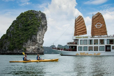 如何让越南旅游业不会在复苏和发展的浪潮中淘汰出局