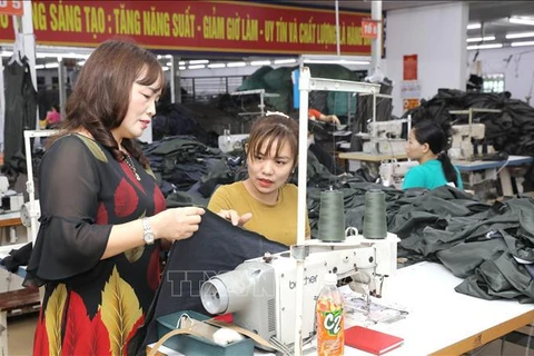越南女性经营的中小型企业白皮书正式发布