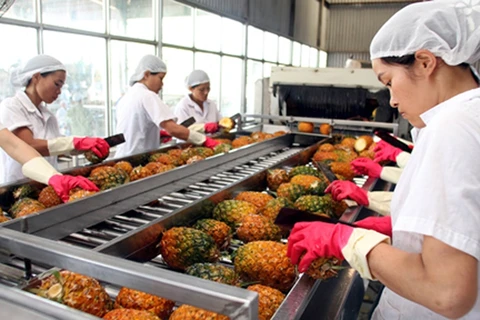 1月上半月越南蔬果出口总额达约5亿美元