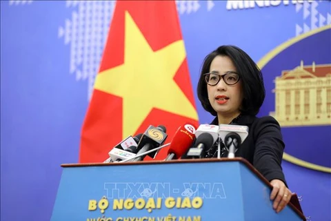 越南外交部发言人：得乐省发生的案件严格按照越南法律规定处理