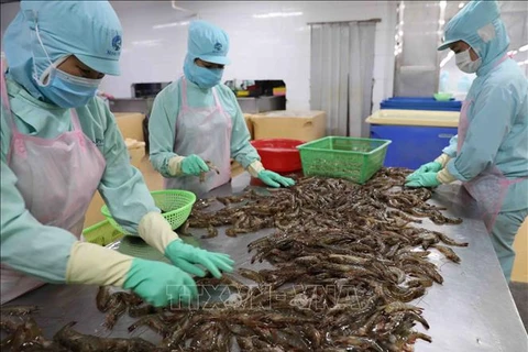 虾业面向出口总额达40亿美元的目标