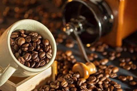 荷兰加大对越南咖啡的进口力度 