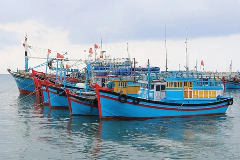 坚决制止越南渔船在外国海域非法捕捞