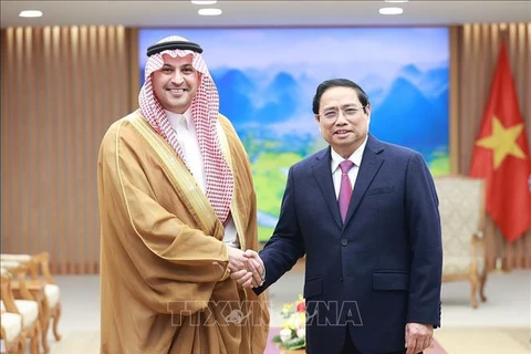 沙特阿拉伯驻越大使：祝愿越南尽快成为区域经济发展龙头