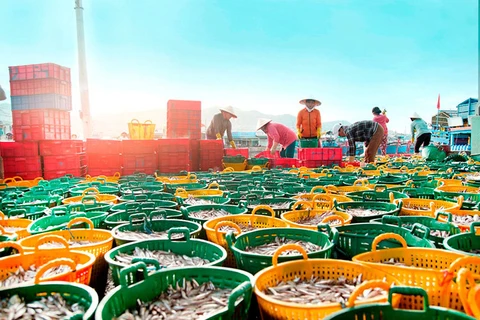 至2030年越南渔业资源保护与开发国家计划获批