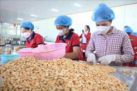 2024年越南农产品出口有望实现大突破