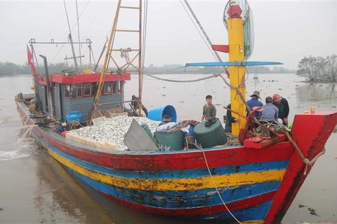 太平省渔民决心解除欧盟委员会的IUU“黄牌”警告