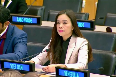 越南强化《联合国宪章》的价值和原则是国际法的基础