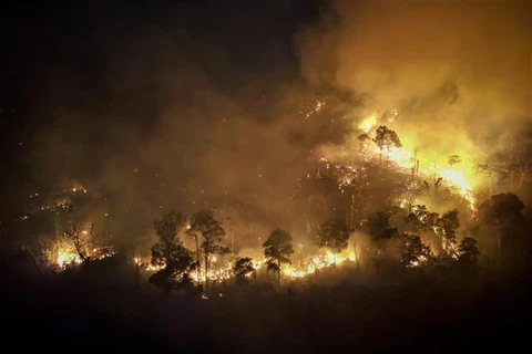 2月22日泰国全境火灾热点1532处 森林火灾蔓延