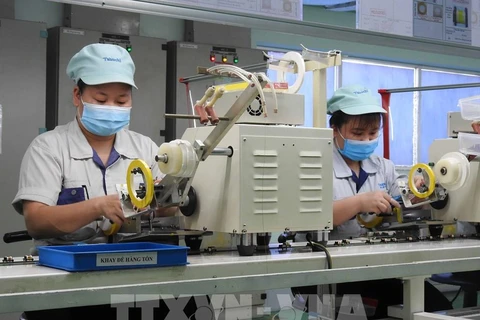 北宁省新成立企业数量增长25%