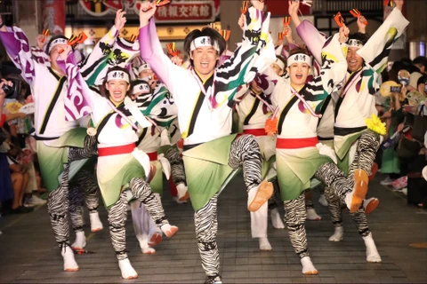 第九届越日文化节将于3月9日至10日在胡志明市举行