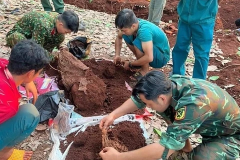平福省开展2023-2024旱季第二轮援柬越南志愿军和专家烈士遗骸搜寻归宿专项活动