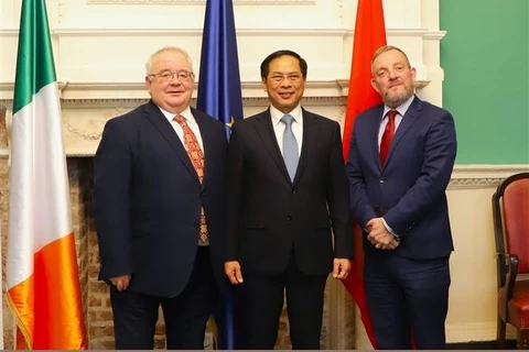 越南外交部部长裴青山同爱尔兰参众两院议长 同外交部部长举行会见会谈