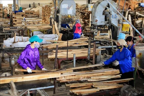 越南着力为木材加工业创造具有可持续性的原材料