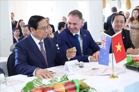 范明政总理希望越南与新西兰农业经济合作取得突破