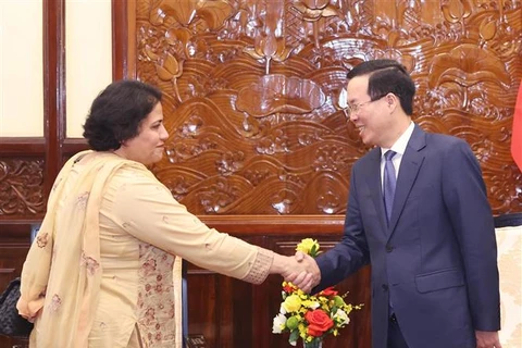 越南国家主席武文赏会见巴基斯坦驻越大使梅赫塔布