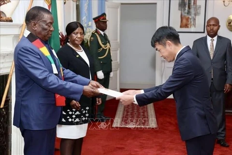 津巴布韦总统希望进一步加强与越南的合作