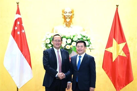 越南与新加坡扩大经贸和能源合作