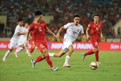 世预赛：越南国足0-3不敌印尼 越方与主教练特鲁西埃终止合同