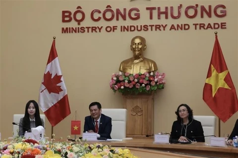越南与加拿大经济混合委员会：促进贸易投资合作