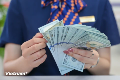 4月4日上午越南各家商业银行美元卖出价超过25000越盾