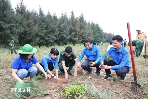 越通社青年响应越南10亿棵树种植活动