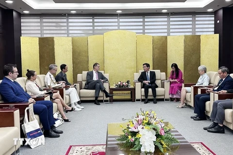  发展法国伙伴与岘港市的友好合作关系