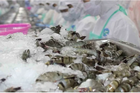 中国增加从越南进口虾类