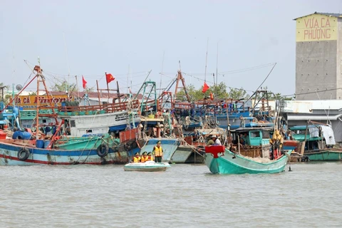 越南政府签发“打击非法捕捞行动计划”
