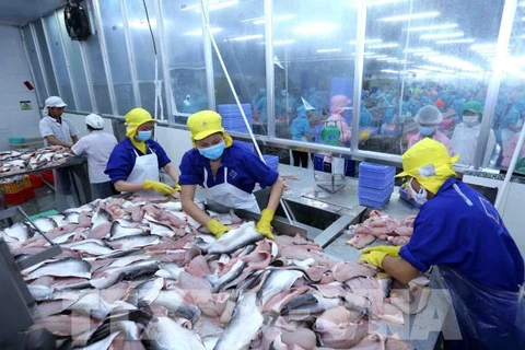 2024年第一季度越南对阿联酋的查鱼出口总额同比增长67%