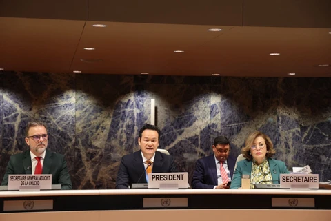 越南主持联合国投资、企业和发展委员会第十四届会议