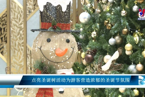点亮圣诞树活动为游客营造浓郁的圣诞节氛围