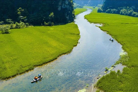 组图：宁平省三谷稻田收割季节的美丽景色