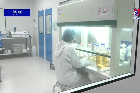 越南正式启动Nano Covax三期人体临床试验