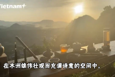 山罗省木州高原白梅开满枝头 吸引游客前来参观游览